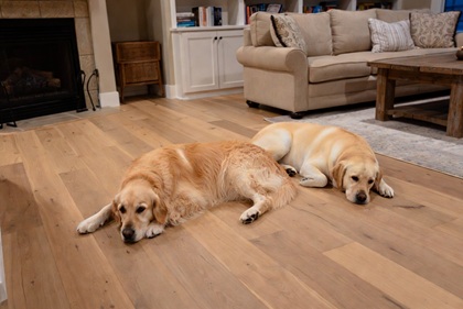 Which Flooring Holds Up to Large Dog Claws in IL Homes?
