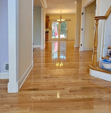 Hardwood Refinish
