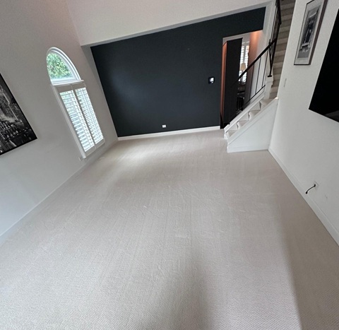 Carpet by Shaw, DreamWeaver and Anderson Tuftex